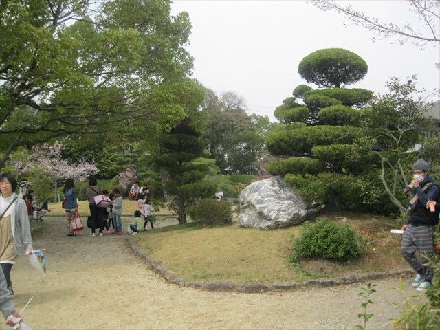 公園上の芝生広場の写真